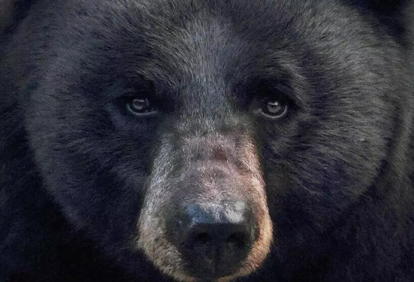 هتل Crosswinds Inn