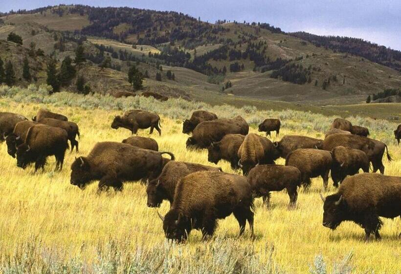 Szálloda Crosswinds Inn