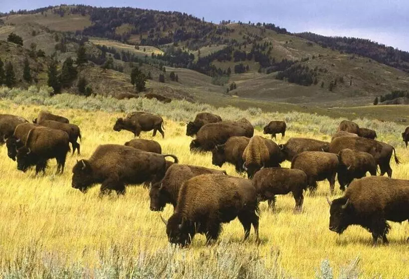 هتل Crosswinds Inn