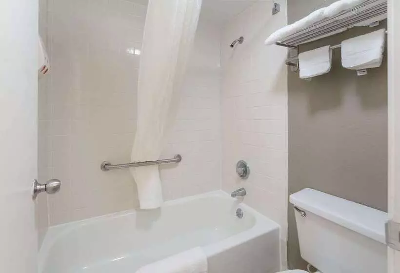 Отель Econo Lodge