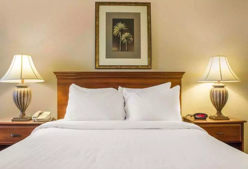 Отель Quality Inn Benson I10 Exit 304