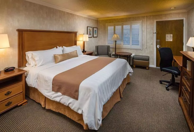 호텔 Sfo El Rancho Inn Surestay Collection By Best Western