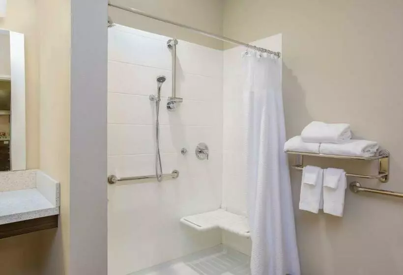 ホテル Towneplace Suites By Marriott Olympia