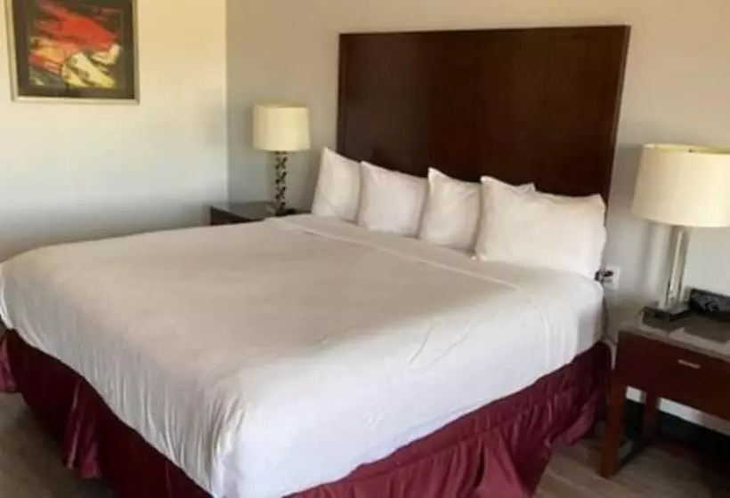 Motel 6 Mesa, Az Downtown