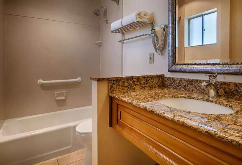 Otel Best Western Plus A Wayfarer S Inn & Suites