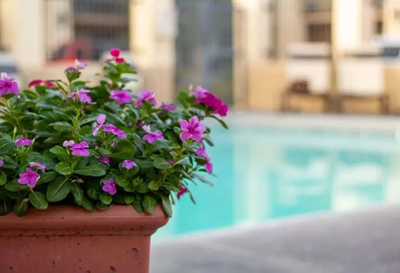 Otel Best Western Plus A Wayfarer S Inn & Suites