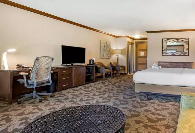 Best Western Plus Island Palms Hotel & Marina