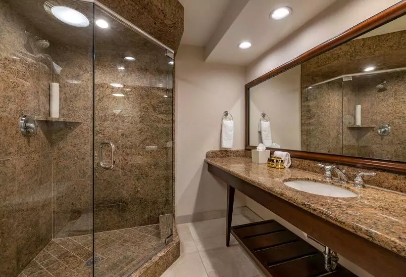 Best Western Plus Island Palms Hotel & Marina