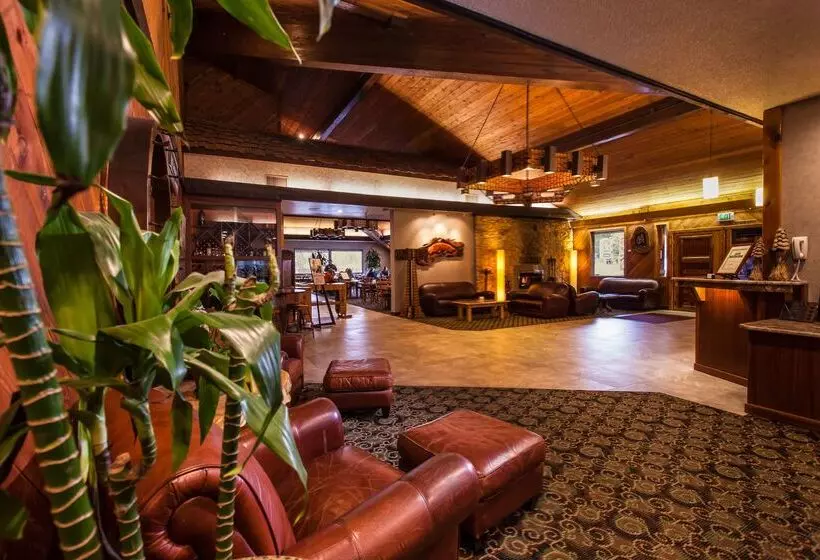 Otel Best Western Plus Tree House