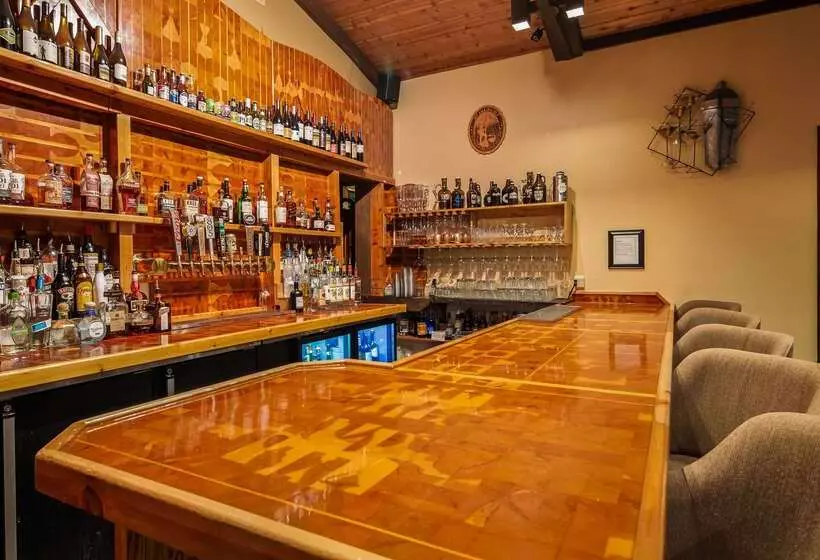 Otel Best Western Plus Tree House