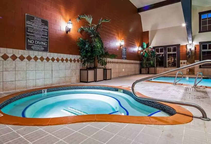 酒店 Best Western Plus Weston Inn