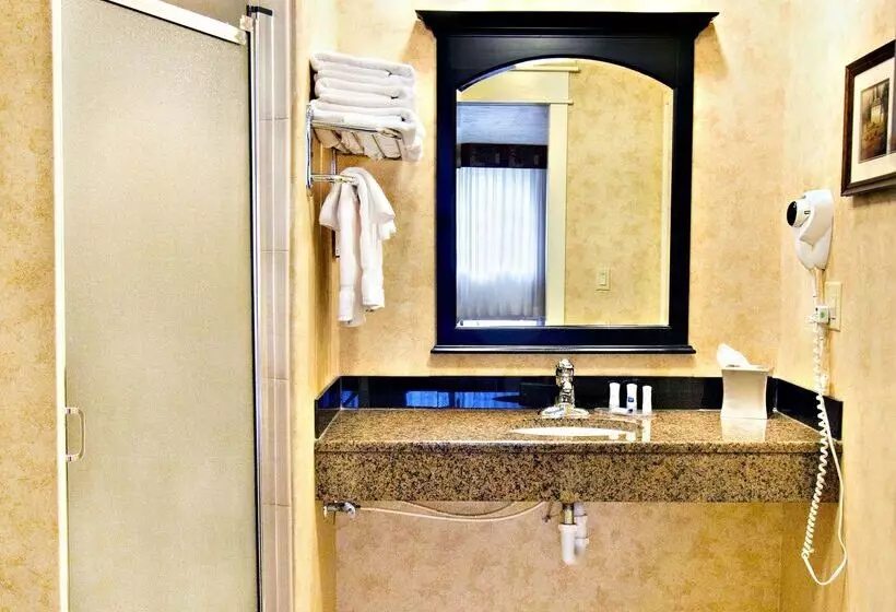 酒店 Best Western Plus Weston Inn