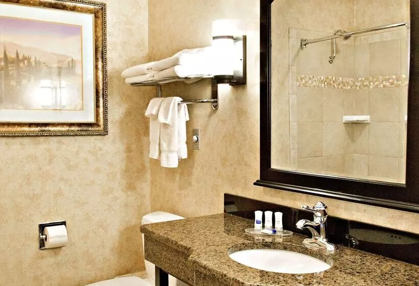 酒店 Best Western Plus Weston Inn