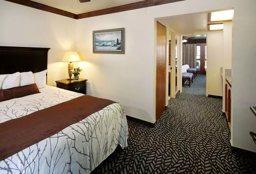 Отель Best Western Plus Yosemite Gateway Inn