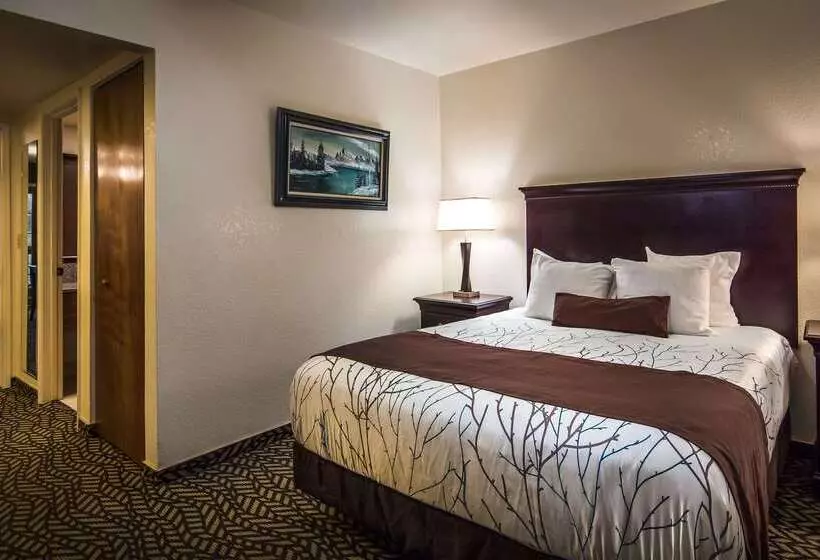 Отель Best Western Plus Yosemite Gateway Inn