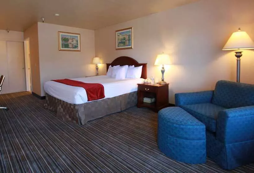 בית מלון כפרי Best Western Surf City