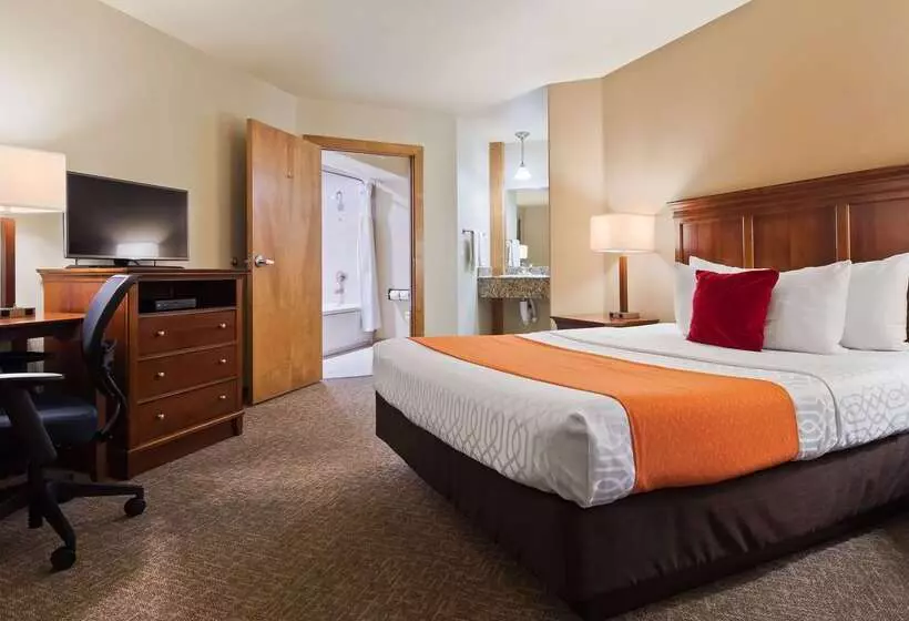 فندق Best Western University Inn