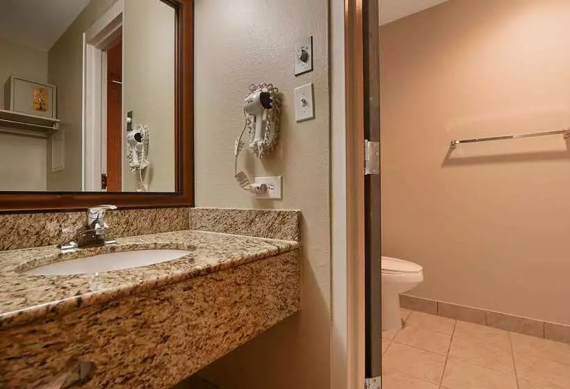 فندق Best Western University Inn