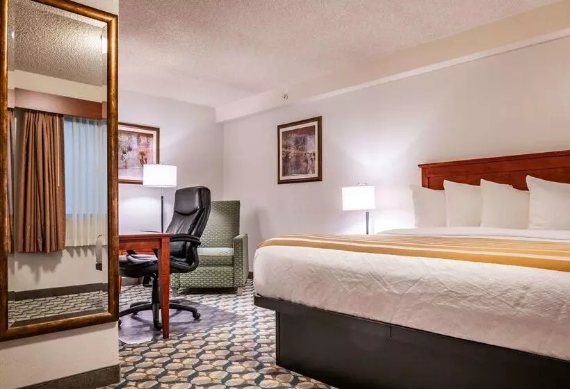 ホテル Best Western Vista Inn At The Airport