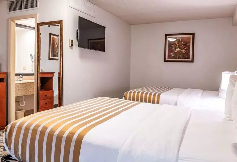 ホテル Best Western Vista Inn At The Airport