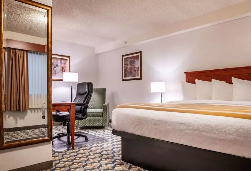 ホテル Best Western Vista Inn At The Airport