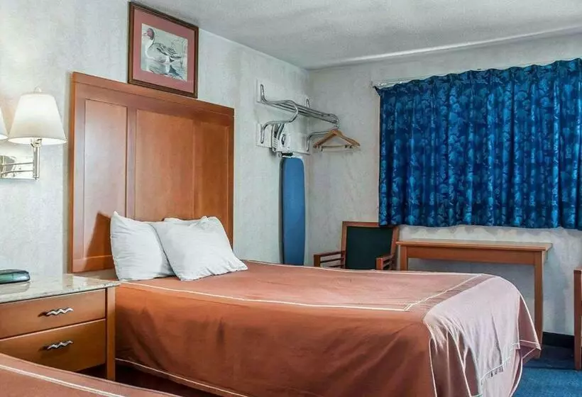 בית מלון כפרי Castle Inn & Suites Niagara Falls