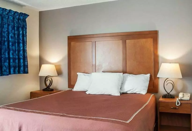 בית מלון כפרי Castle Inn & Suites Niagara Falls