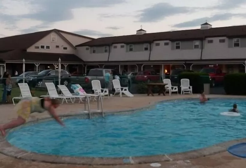 בית מלון כפרי Cherry Lane Motor Inn