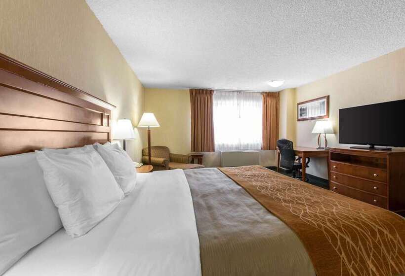 هتل Comfort Inn Near Vail Beaver Creek