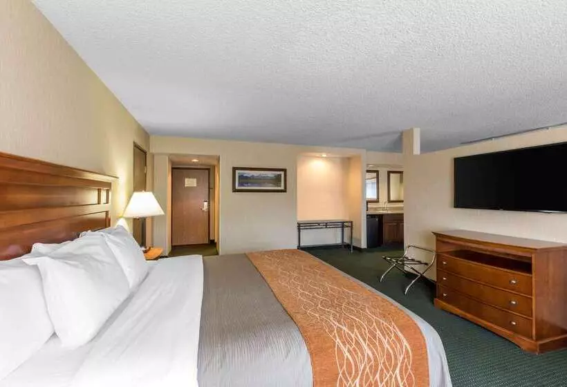 ホテル Comfort Inn Near Vail Beaver Creek