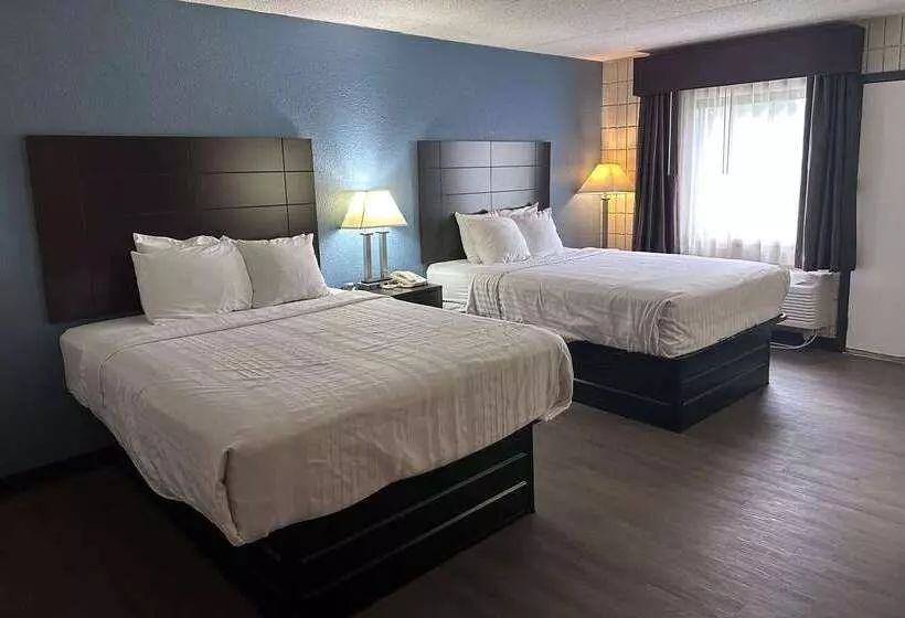 Отель Baymont Inn And Suites By Wyndham Farmington, Mo