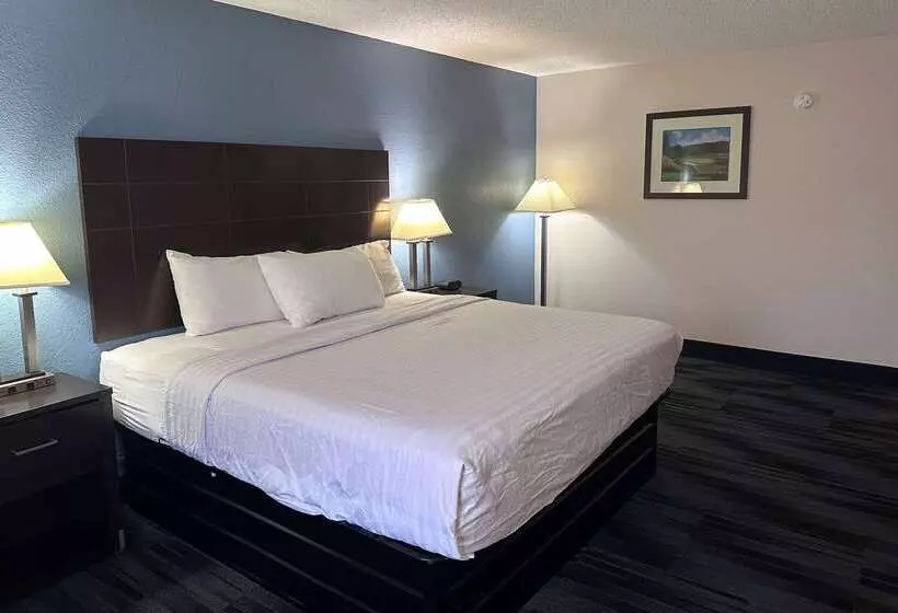 Отель Baymont Inn And Suites By Wyndham Farmington, Mo
