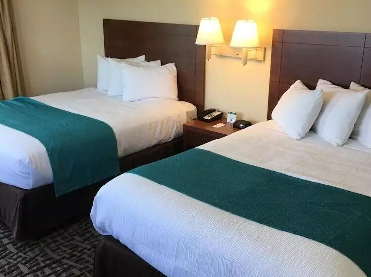 Gulfview Hotel On The Beach