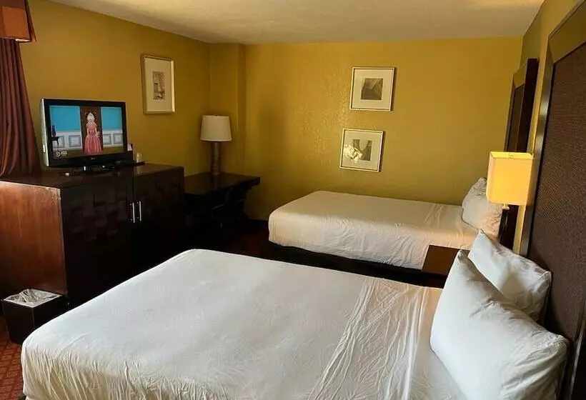 Отель Hutchibell