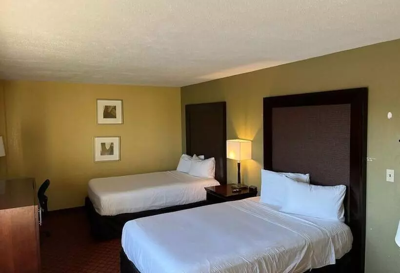 Отель Hutchibell