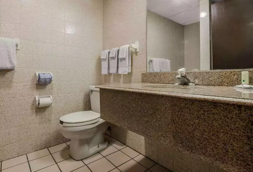 בית מלון כפרי Quality Inn & Suites Binghamton Vestal