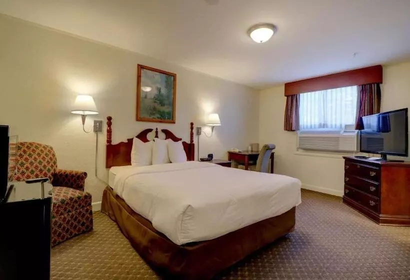 هتل Senator Inn & Spa