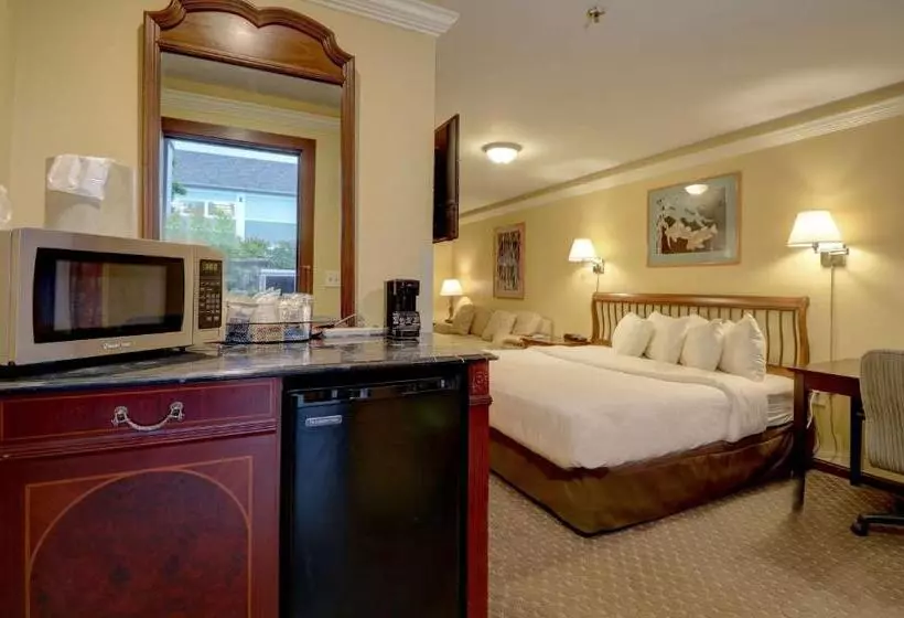 هتل Senator Inn & Spa