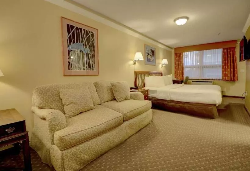 هتل Senator Inn & Spa