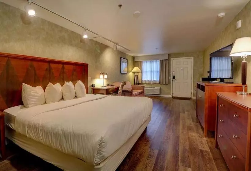 هتل Senator Inn & Spa