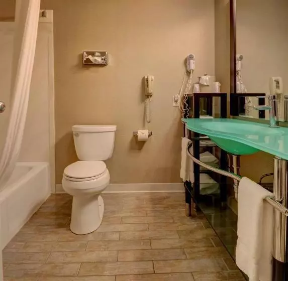 هتل Senator Inn & Spa