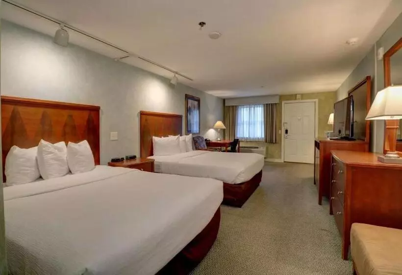 هتل Senator Inn & Spa