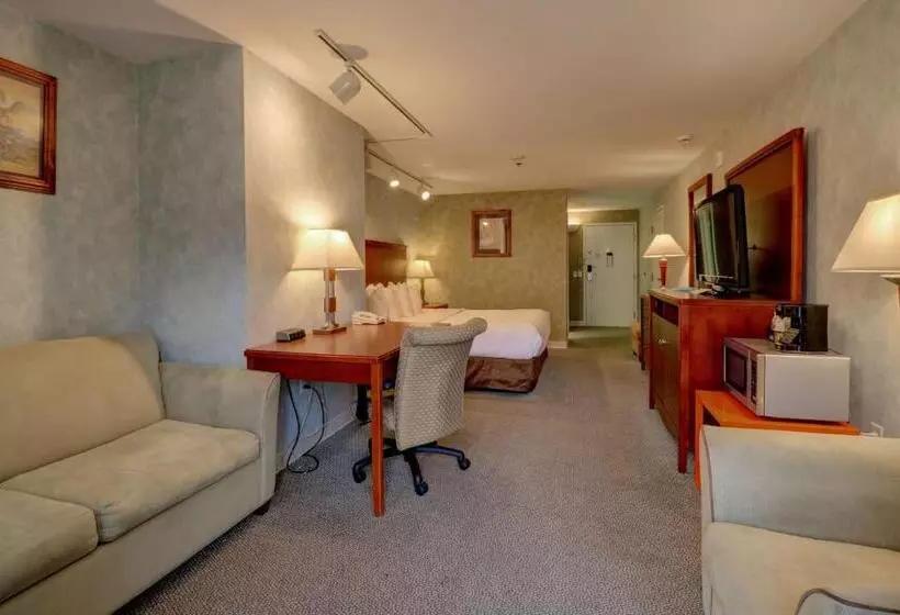 هتل Senator Inn & Spa