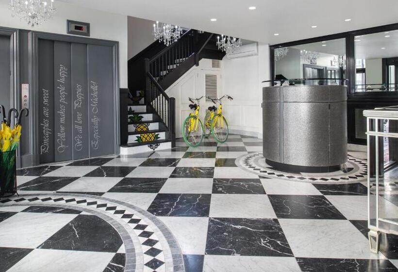 Staypineapple, A Delightful Hotel, South End