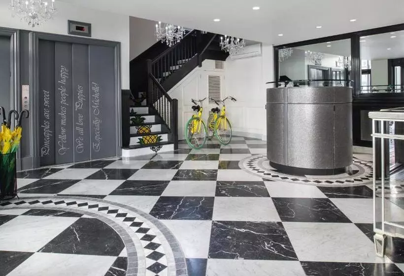 Staypineapple, A Delightful Hotel, South End