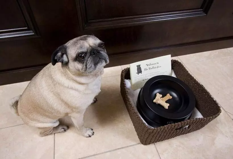 Отель The Dalles Inn