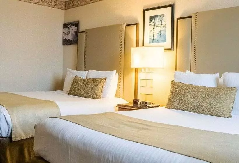 Отель The Dalles Inn