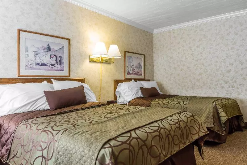 בית מלון כפרי The Vine Inn Davis