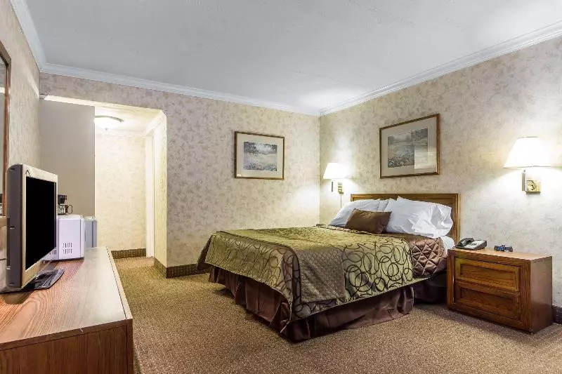 בית מלון כפרי The Vine Inn Davis