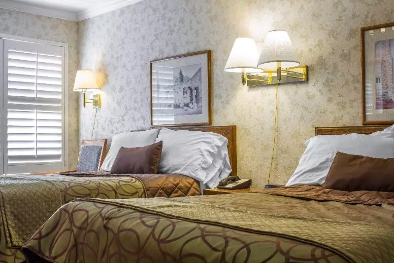 בית מלון כפרי The Vine Inn Davis